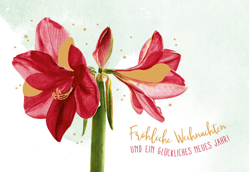 Green Karma XMAS Doppelkarte - Rote Amaryllis