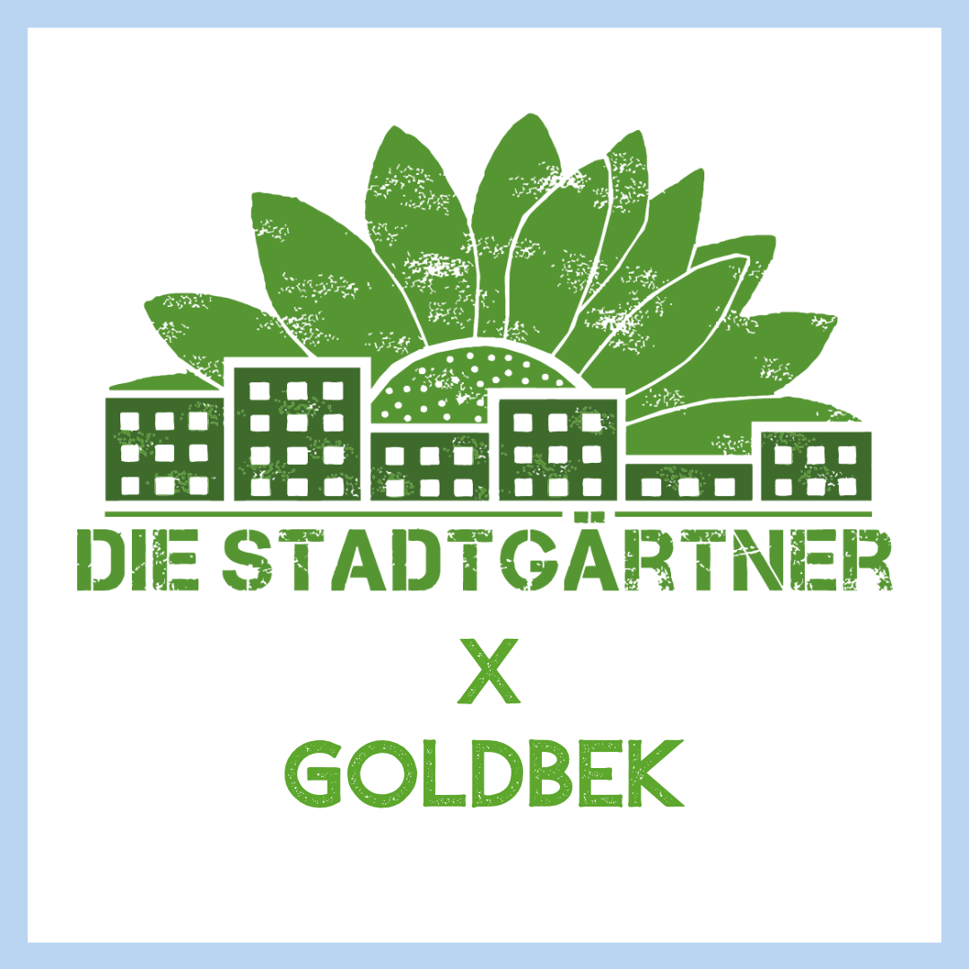 Weihnachts-Geschenkset GOLDBEK X DIE STADTGÄRTNER