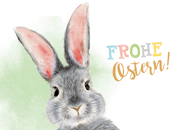 Schnuffiger Hase mit langen Löffeln