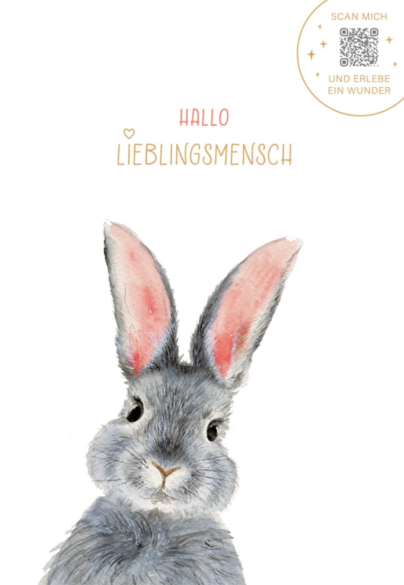 KartenWunder - Hasi