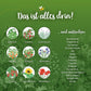 Saatgut-Adventskalender "Winterlandschaft"