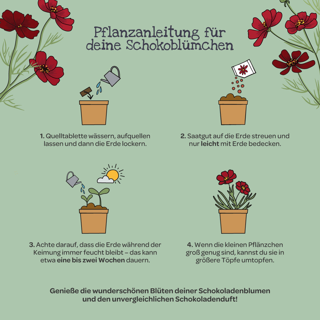 Schokoblumen aus dem Becher