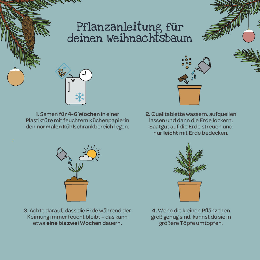 Weihnachts-Geschenkset GOLDBEK X DIE STADTGÄRTNER