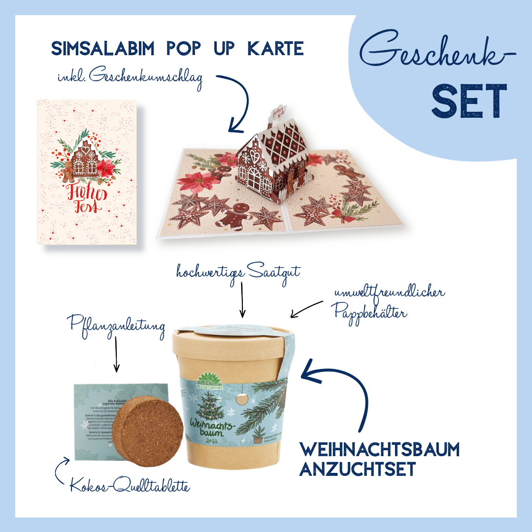 Weihnachts-Geschenkset GOLDBEK X DIE STADTGÄRTNER