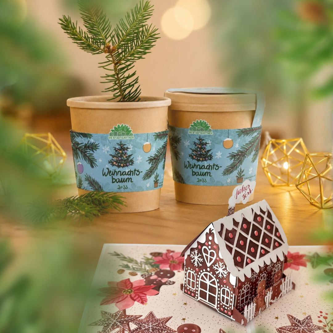 Weihnachts-Geschenkset GOLDBEK X DIE STADTGÄRTNER