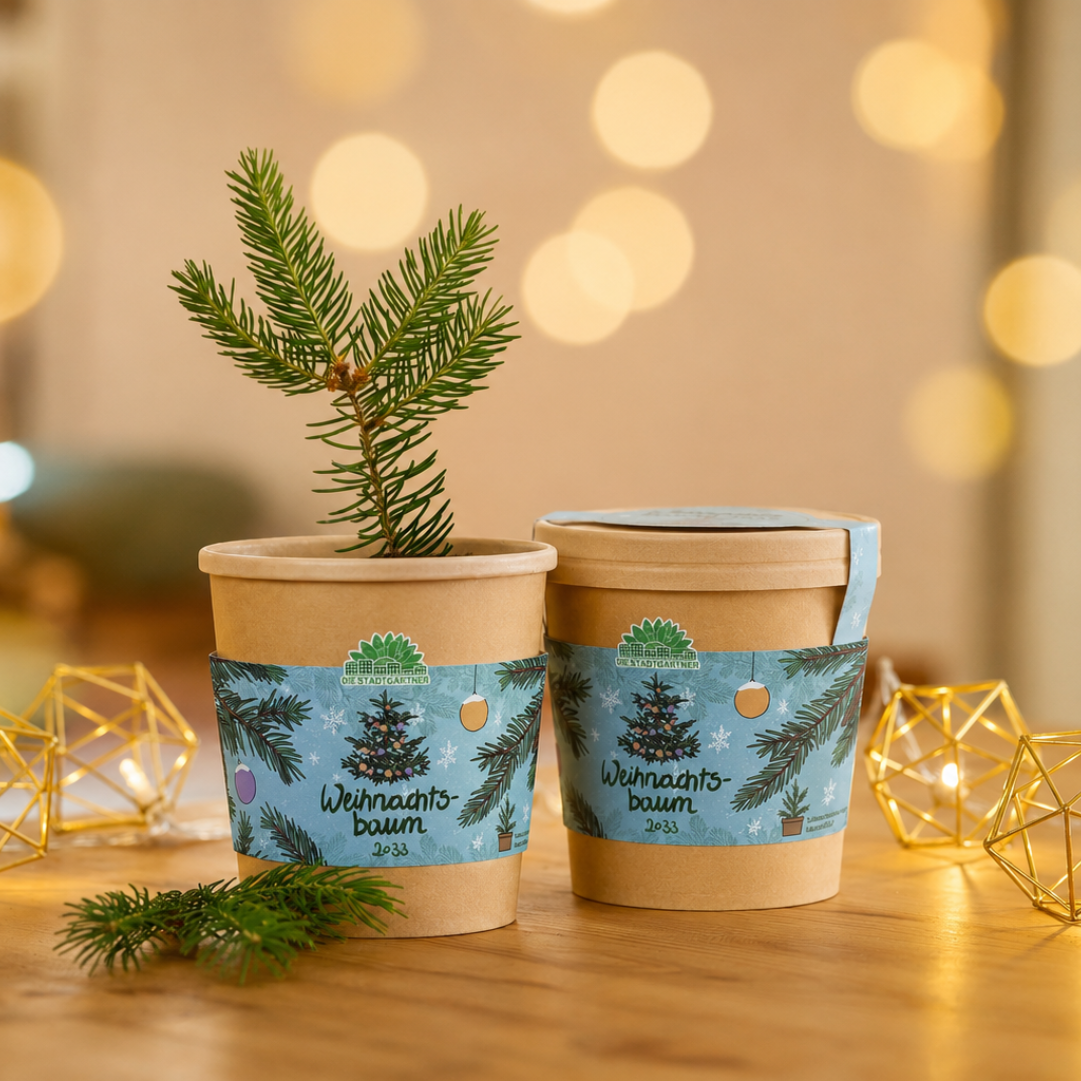 Weihnachts-Geschenkset GOLDBEK X DIE STADTGÄRTNER