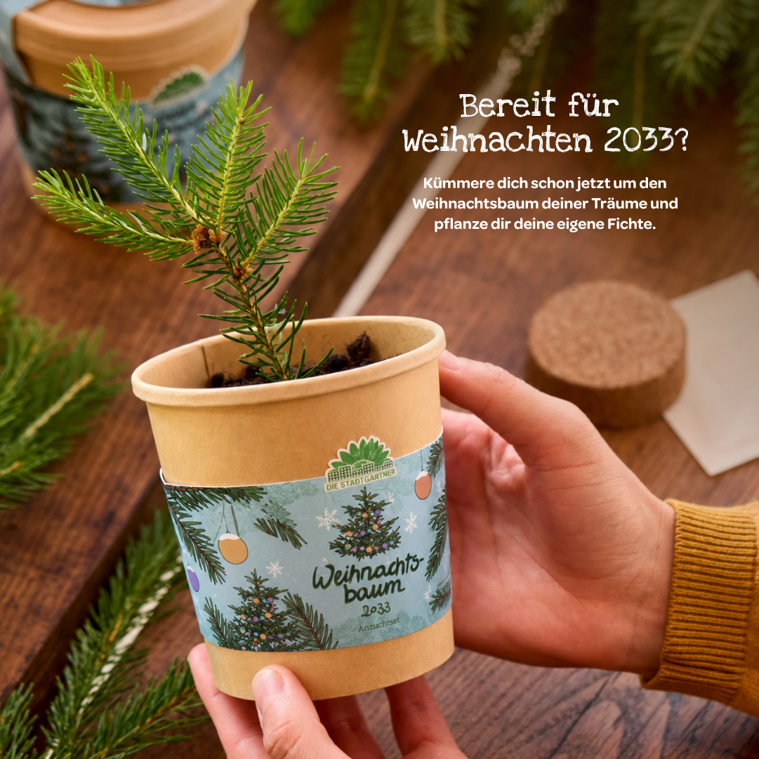 Weihnachts-Geschenkset GOLDBEK X DIE STADTGÄRTNER