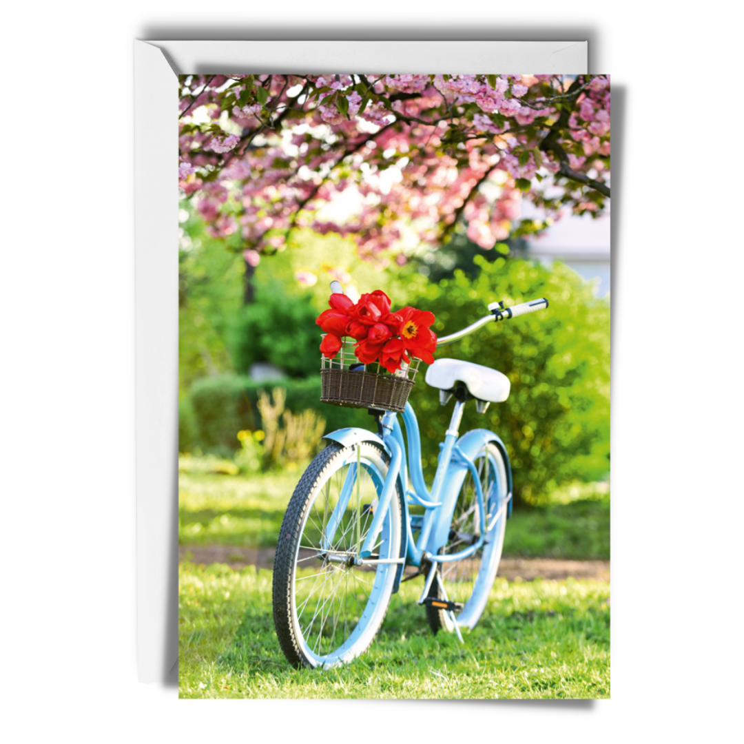 Fahrradtour im Frühling