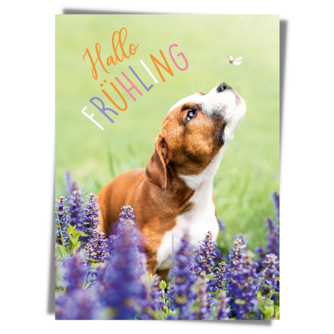 Hallo Frühling